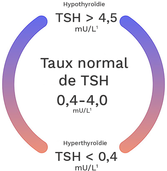Un taux de TSH < 0,4 mU/L indique une hyperthyroïdie, tandis qu’un taux > 4,5 mU/L indique une hypothyroïdie. Un taux normal se situe entre 0,4 et 4,0.