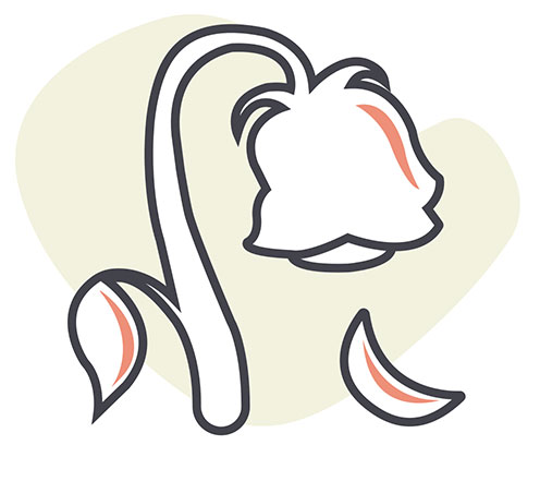 Dysfonction érectile